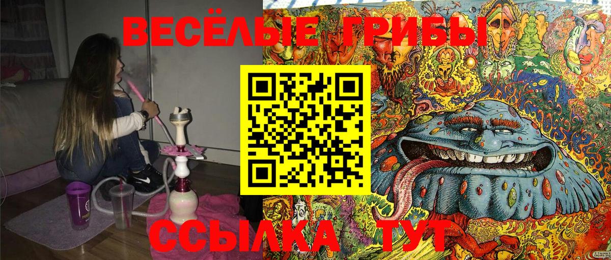 Краснознаменск  Псилоцибиновые грибы мицелий  купить  сайты  Псилоцибиновые грибы Magic Shrooms  Вход с VPN 